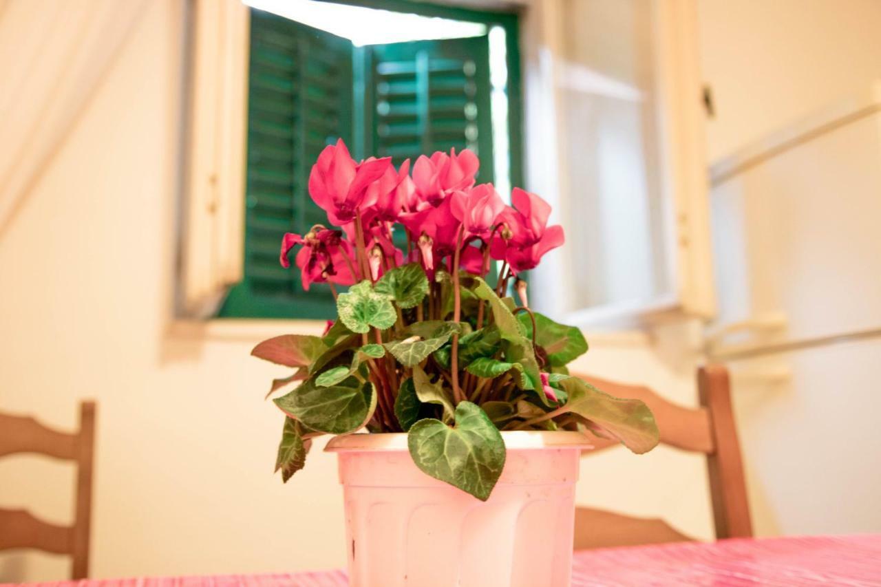 Apartman Juricic Labin  Exterior photo